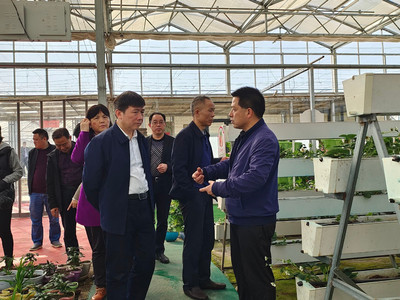 省廳農機處調研株洲設施農業