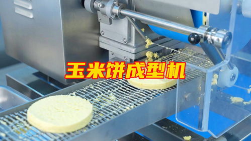 玉米餅成型機多功能肉餅蔬菜餅加工設備