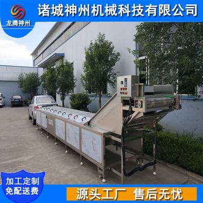 青豆漂燙機 蔬菜殺青機 蔬菜固色漂燙設備