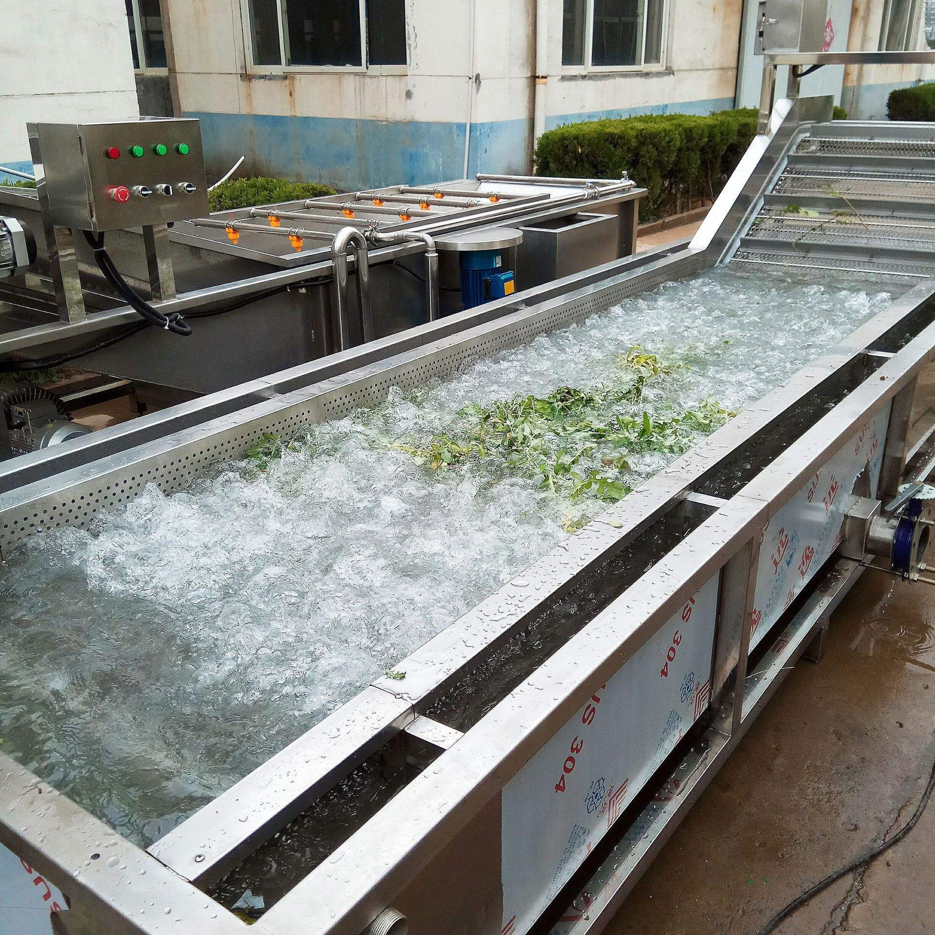 自動洗菜機 白菜機械手清洗機 連續式蔬菜加工設備