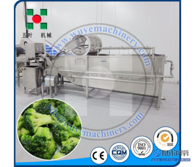 【五葉機械速凍西蘭花生產線甘藍菜加工機械蔬菜前處理菠菜蘆筍清洗線ydsTX