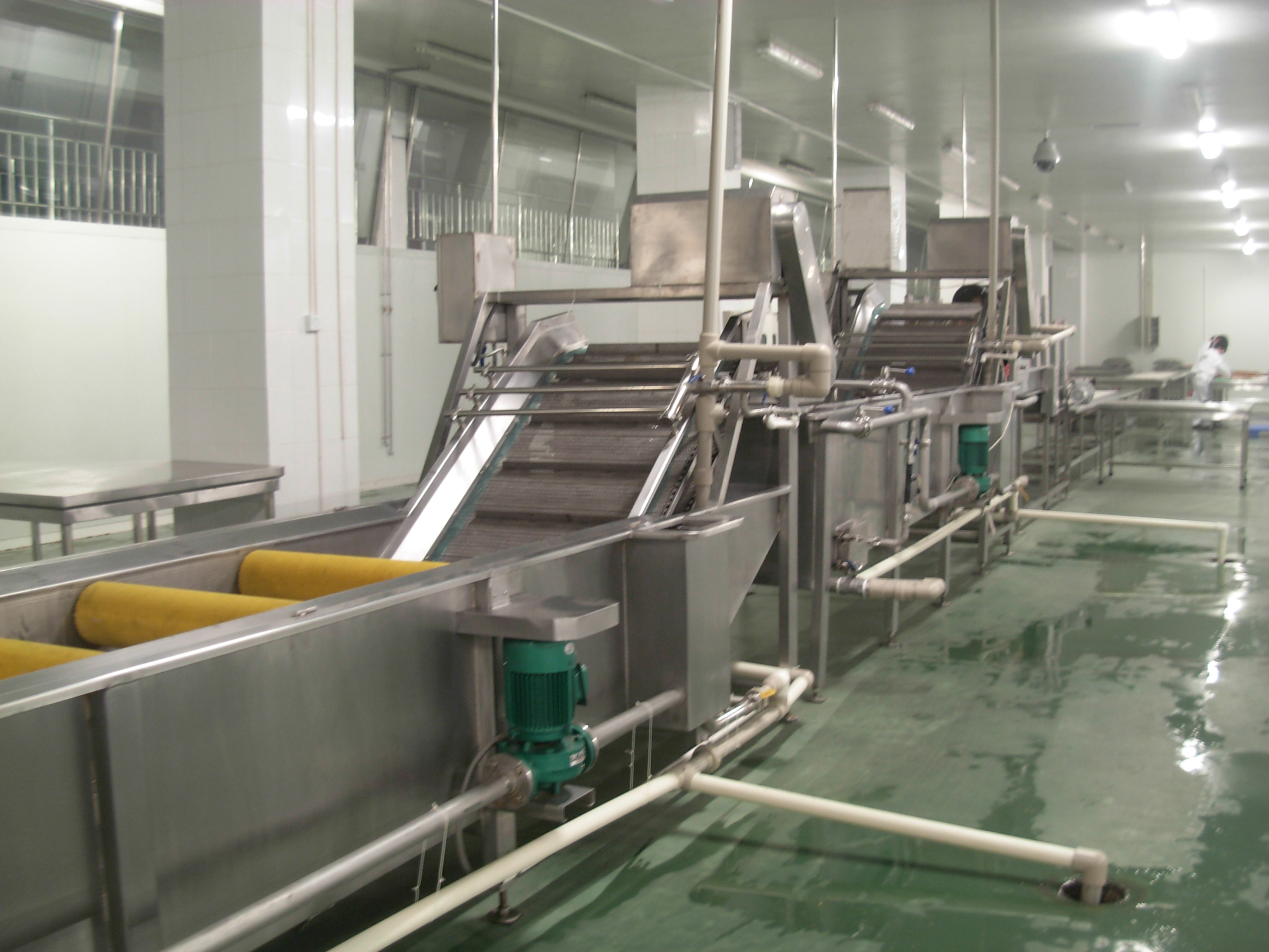 桐柏蔬菜前處理加工生產(chǎn)線生產(chǎn)廠家