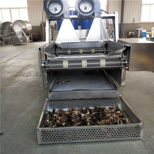 【廠家胡蘿卜清洗去皮機果蔬清洗流水線蔬菜凈加工成套設(shè)備】- 