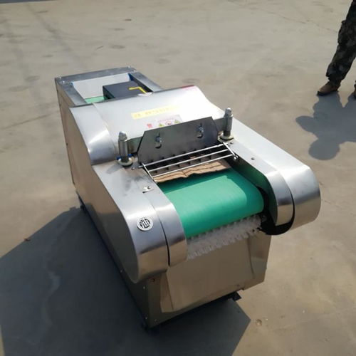 炊事設(shè)備 蔬菜切條切丁多功能切菜機