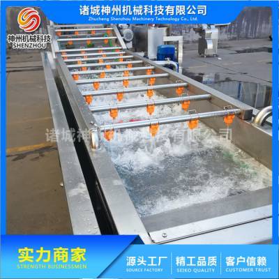 蔬菜凈菜加工流水線 諸城神州機(jī)械 大姜凈菜加工流水線