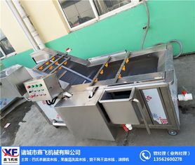 蔬菜氣泡清洗機(jī)廠家 諸城鑫飛機(jī)械 甘肅蔬菜氣泡清洗機(jī)