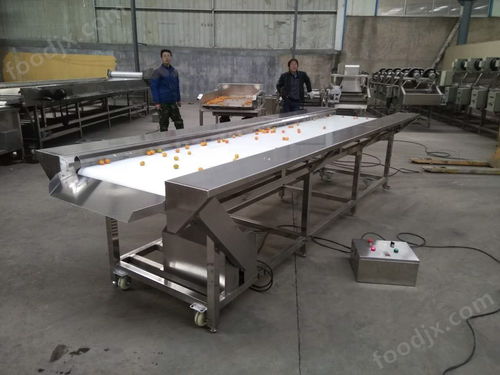 食品加工雙層挑選輸送線諸城市冠通機(jī)械
