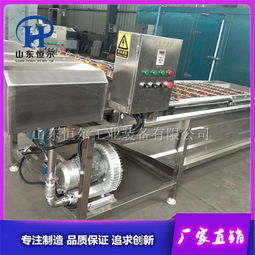 不銹鋼蔬菜清洗機(jī) 山東恒爾專業(yè)制造，提升蔬菜加工效率