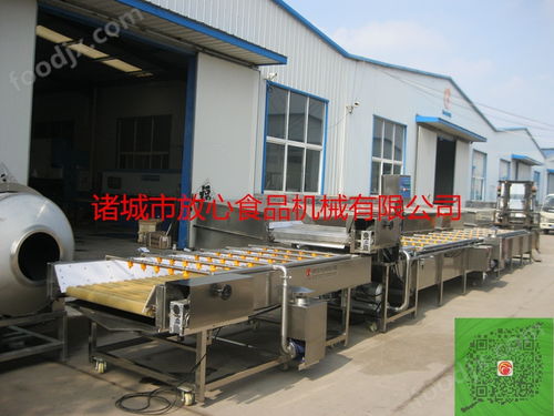 全自動蔬菜加工設備多少錢 果蔬加工成套設備