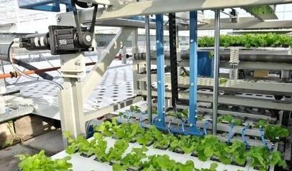 蔬菜無人種植工廠 農業自動化的革命與挑戰