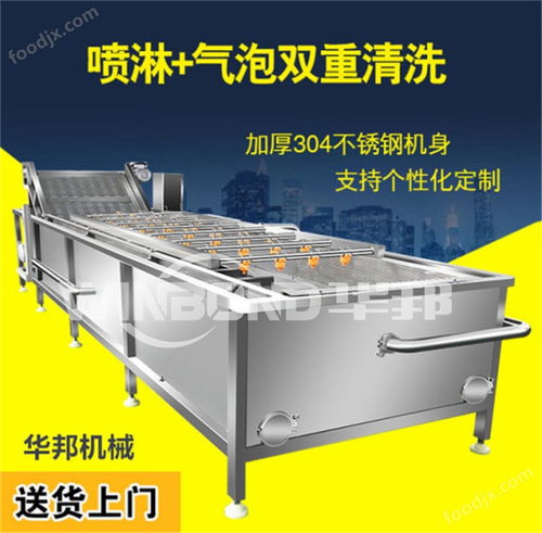瓜果蔬菜氣泡清洗機與果蔬凈菜加工設備 價格與選擇指南
