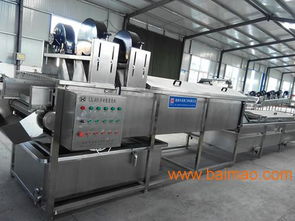 大姜清洗機 高效蔬菜加工機械的選擇與價格分析