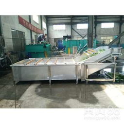 鼎鳳源紅棗蔬菜清洗機參數說明及諸城氣泡清洗流水線廠家介紹