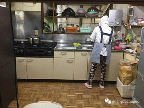 年入600萬的高薪產業 蔬菜加工機械與多元化經營之道