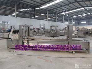 專業蔬菜加工機械 氣泡原理洗菜機的高效潔凈之道