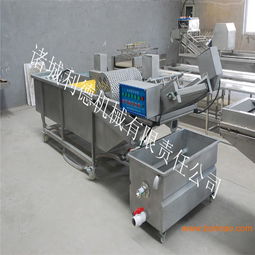 多功能蔬菜清洗機 高壓噴淋技術與利德清洗機在蔬菜加工機械中的應用與價值