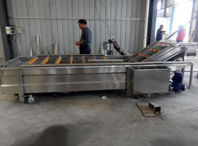 定制生產大型蔬菜氣泡清洗機 提升蔬菜加工效率與品質的關鍵裝備